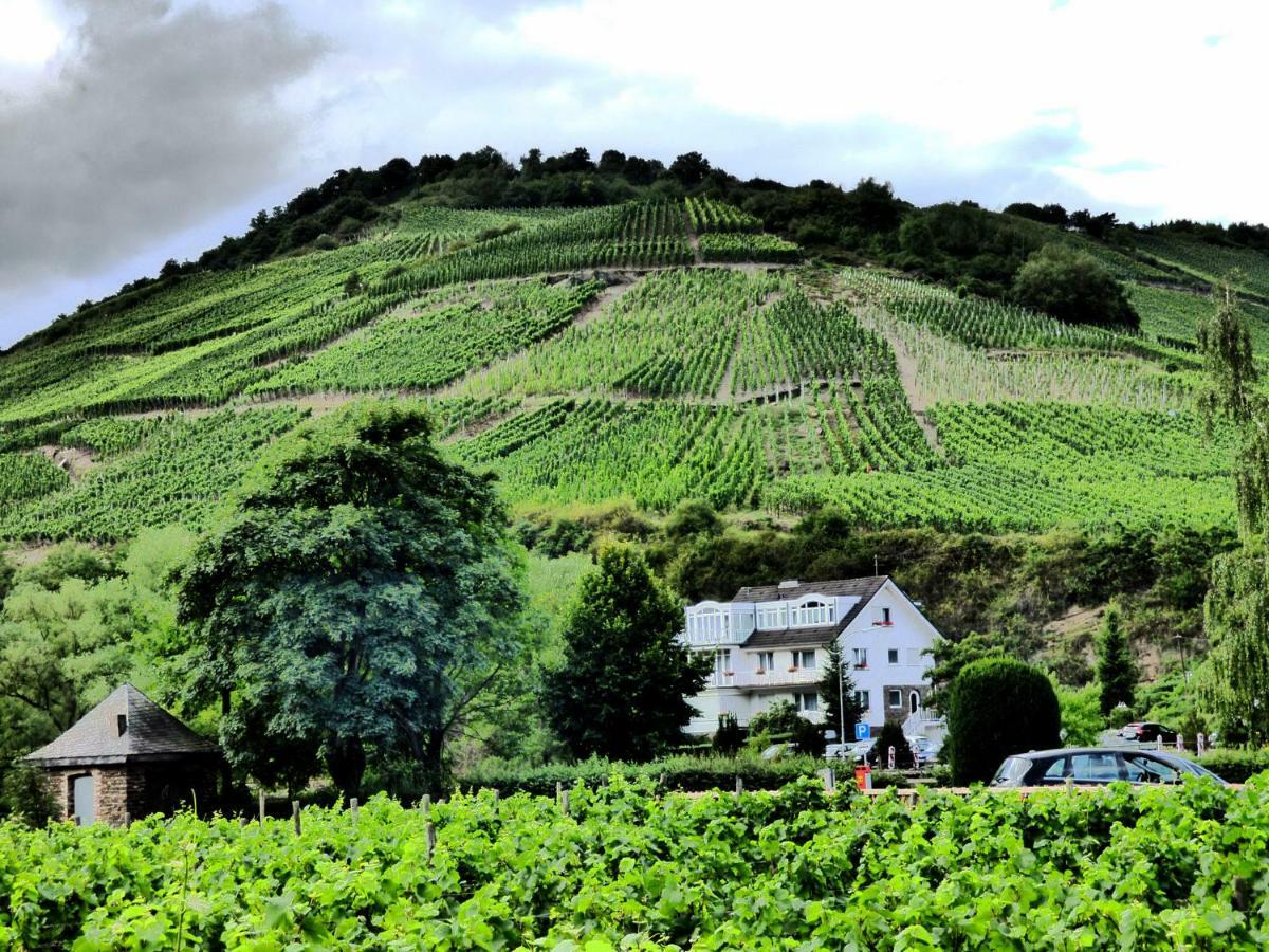 Relaxen Im Alten Winzerhaus Fewo Eg Rech Bagian luar foto